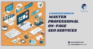 guide-professional-on page-seo-services